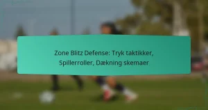 Zone Blitz Defense: Tryk taktikker, Spillerroller, Dækning skemaer