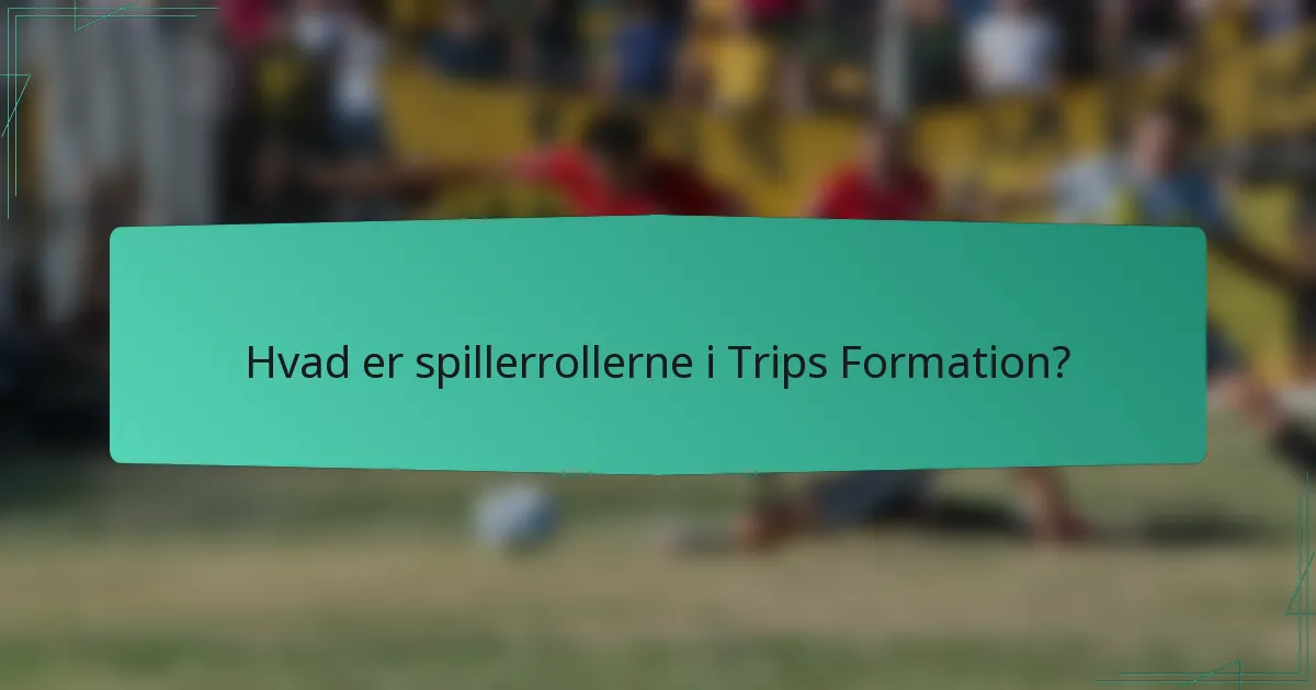 Hvad er spillerrollerne i Trips Formation?